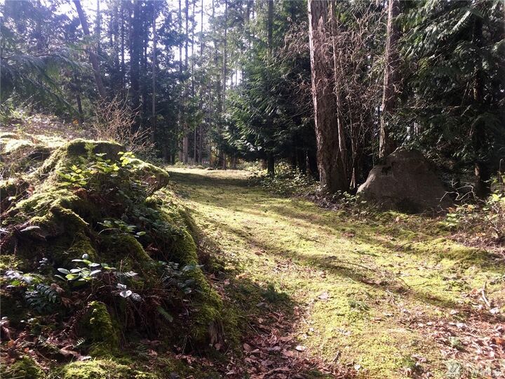 100 Center Island  Center Island WA 98221 photo