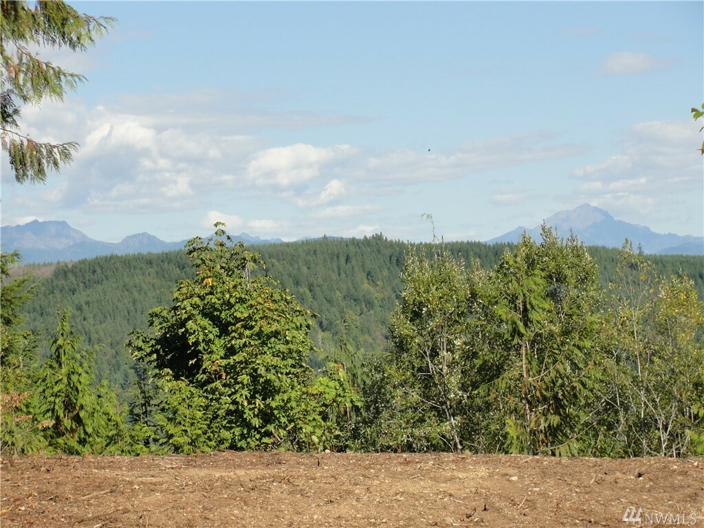 Property Photo: 0 E Bobcat Lane WA 98584