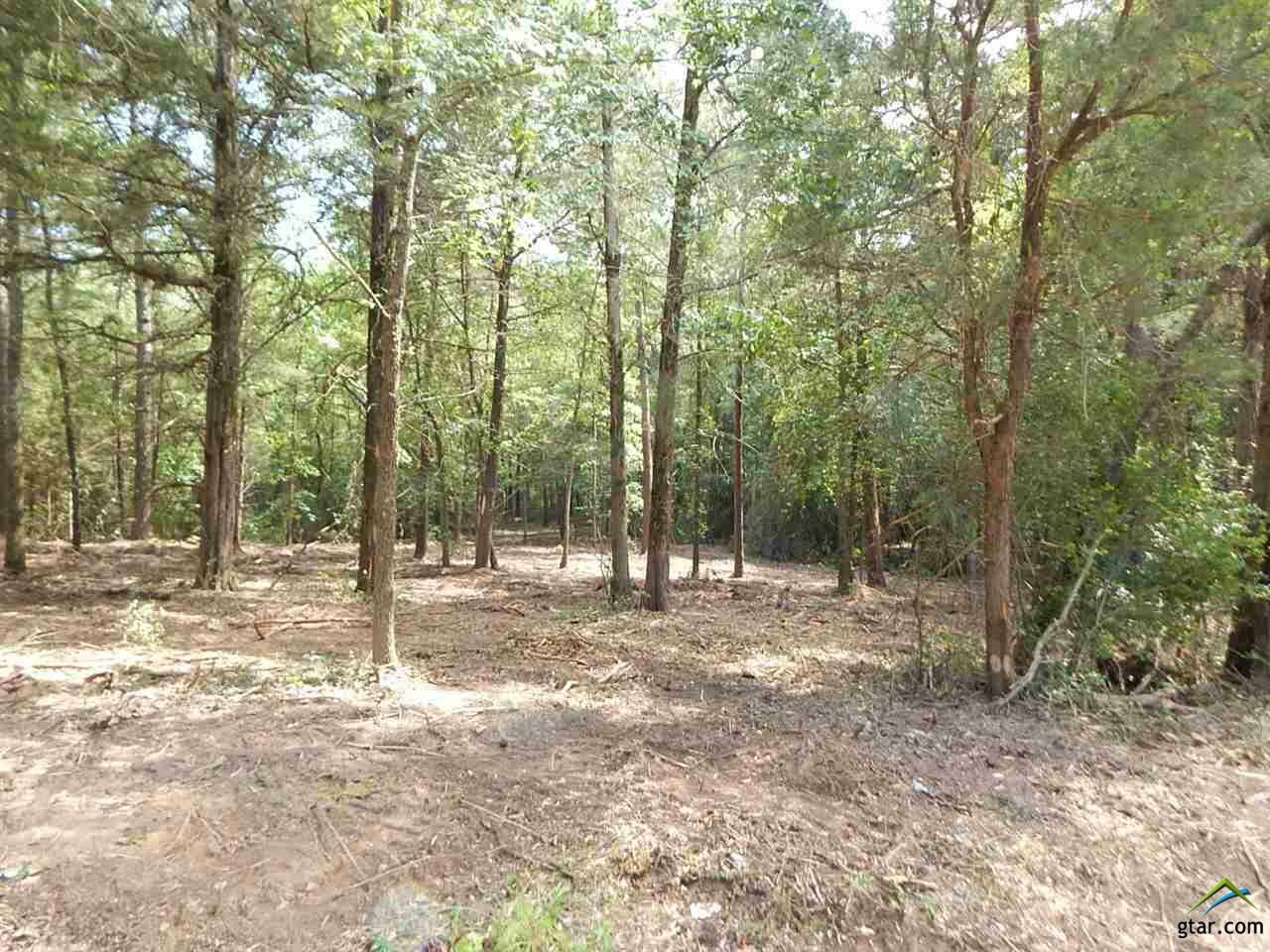 Property Photo:  Tbd 16 Acres Red Cedar  TX 75755 