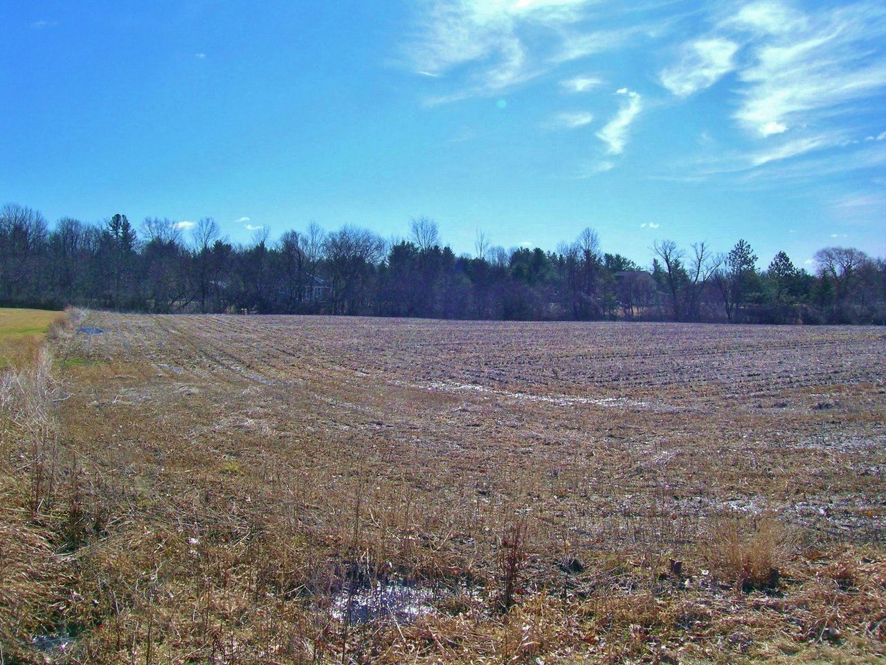 Property Photo:  46 Mount Philo Road  VT 05482 