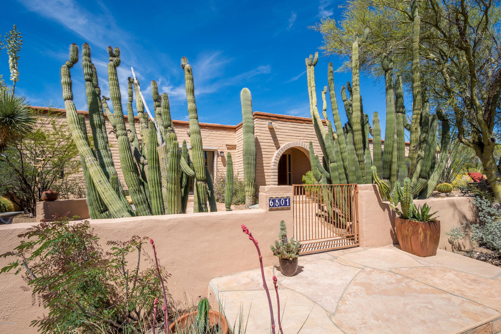 Property Photo:  6501 N Montebella Road  AZ 85704 