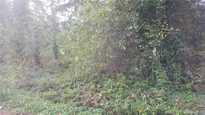 Property Photo:  11913 Sanford St SE  WA 98589 