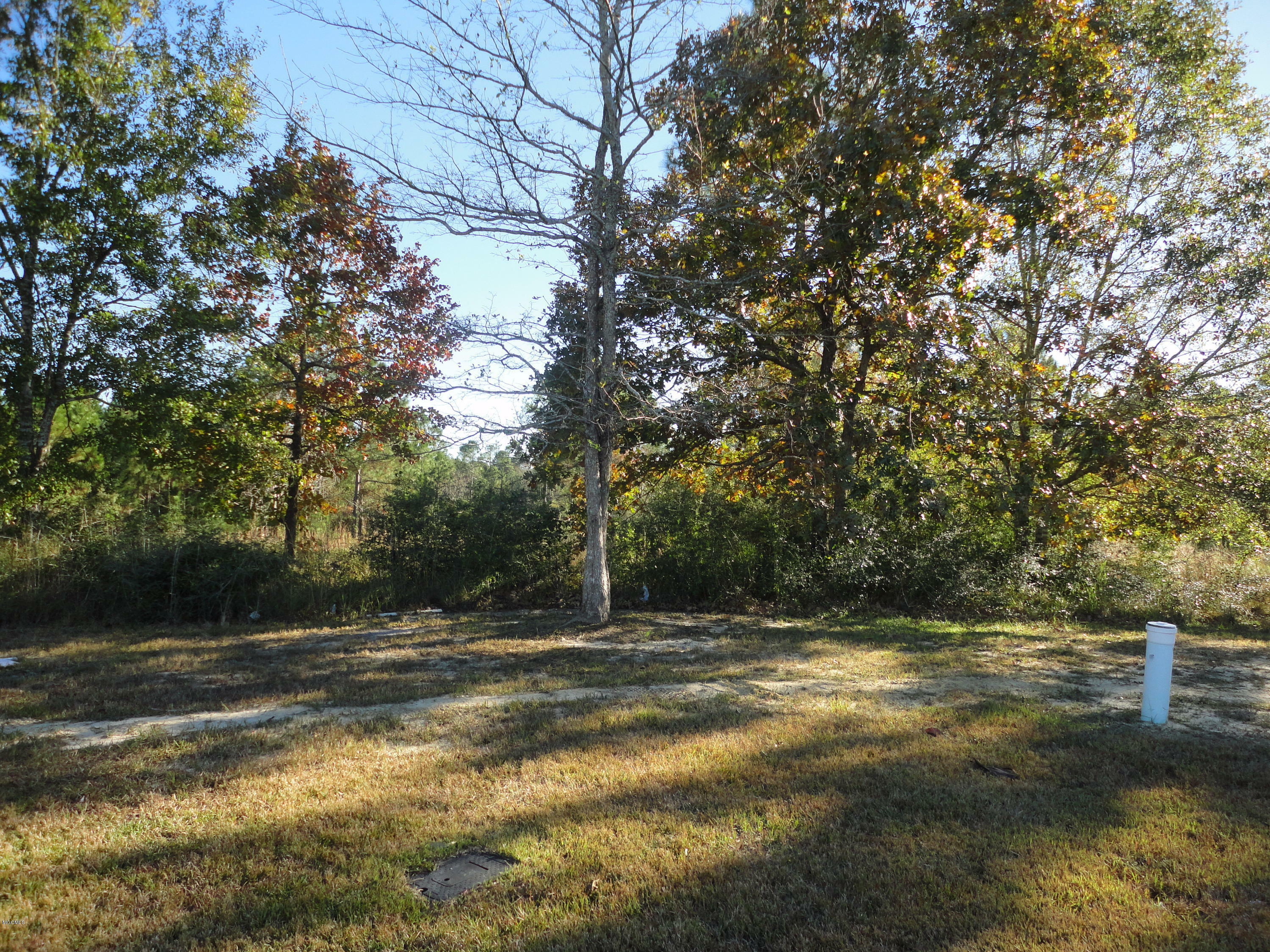 Property Photo:  Calloway Cove  MS 39553 