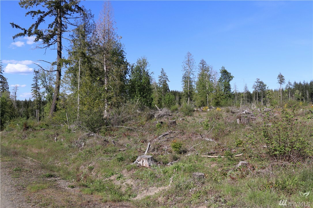 Property Photo:  1 Lot 1 SE Lynch Rd  WA 98584 