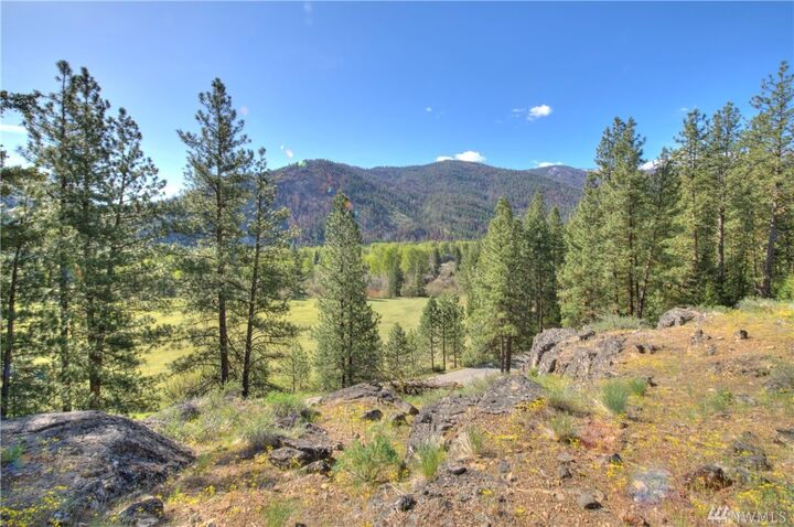 Property Photo:  1110 Twisp River Rd  WA 98856 