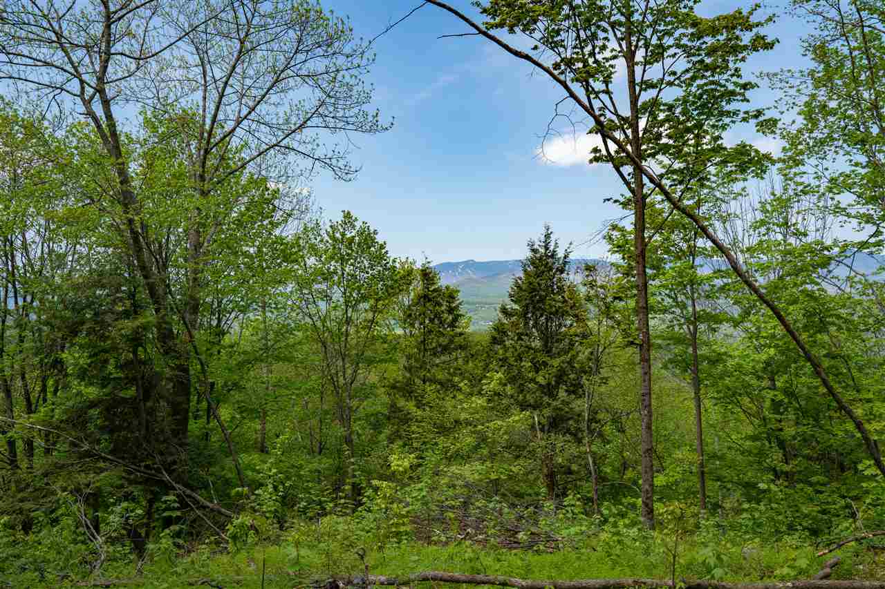 Property Photo:  199 Old Gould Farm Road 5  VT 05657 