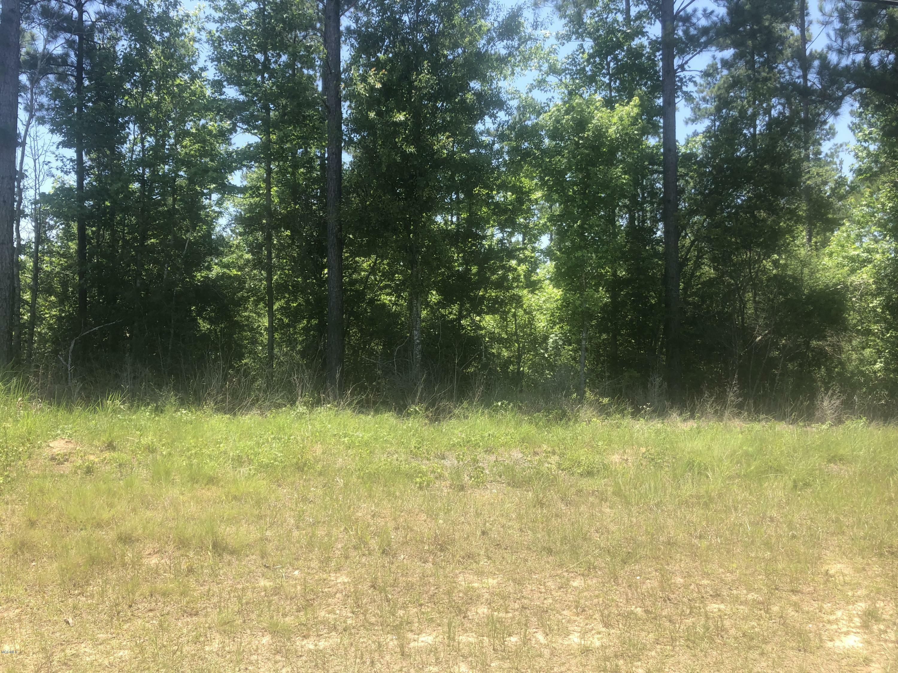 Property Photo:  0 Highway 63  MS 39452 