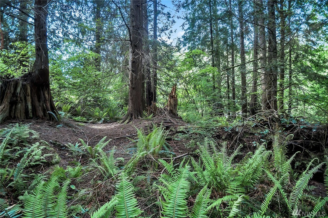 Property Photo:  11222 Trombley Rd.  WA 98290 