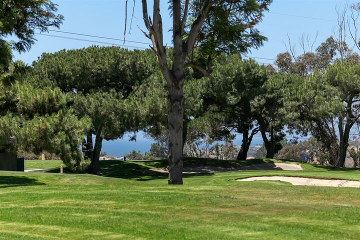 Property Photo:  1322 Camino Teresa  CA 92075 