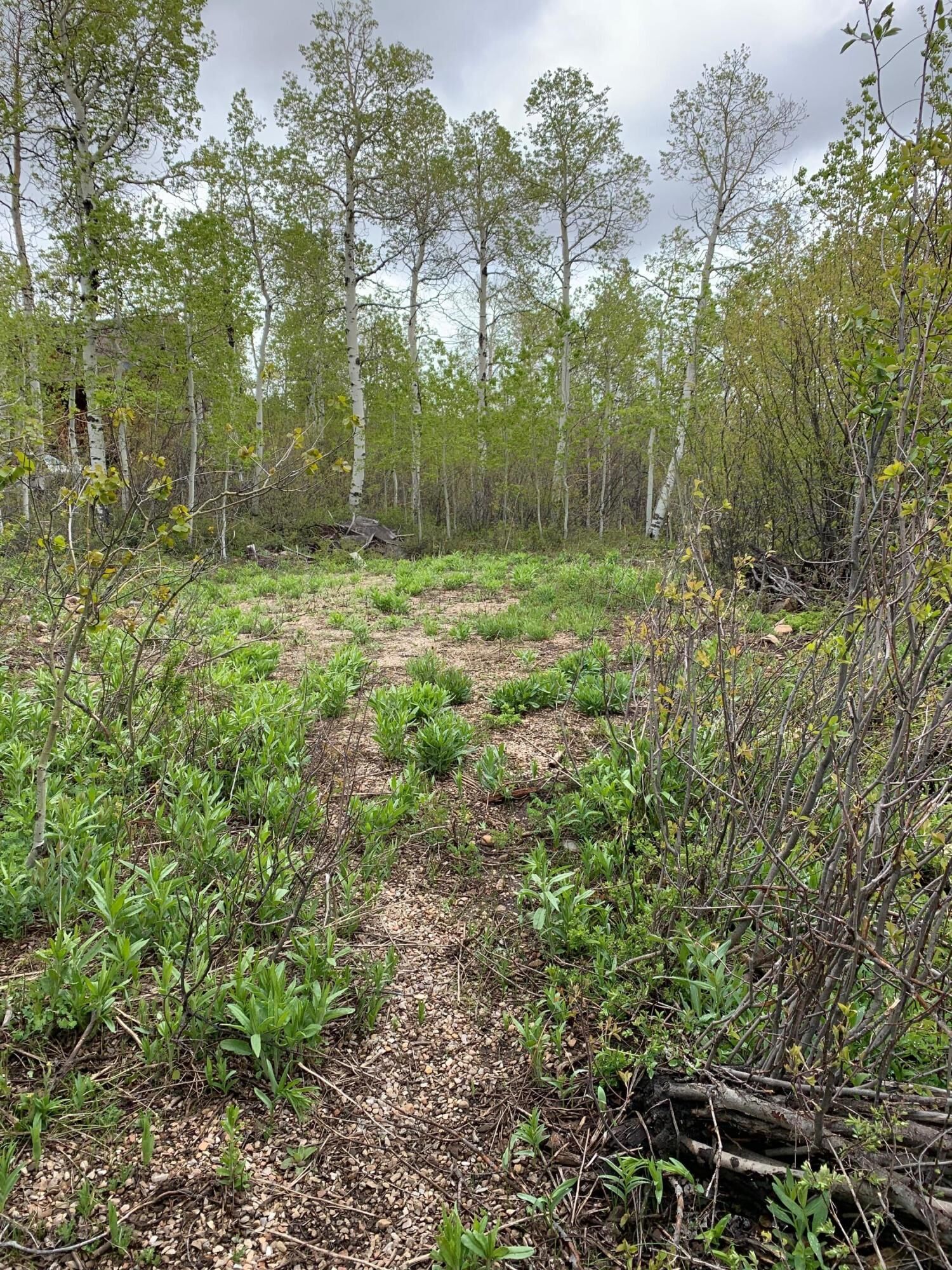 Property Photo:  6681 E Orange Rock Road  UT 84055 