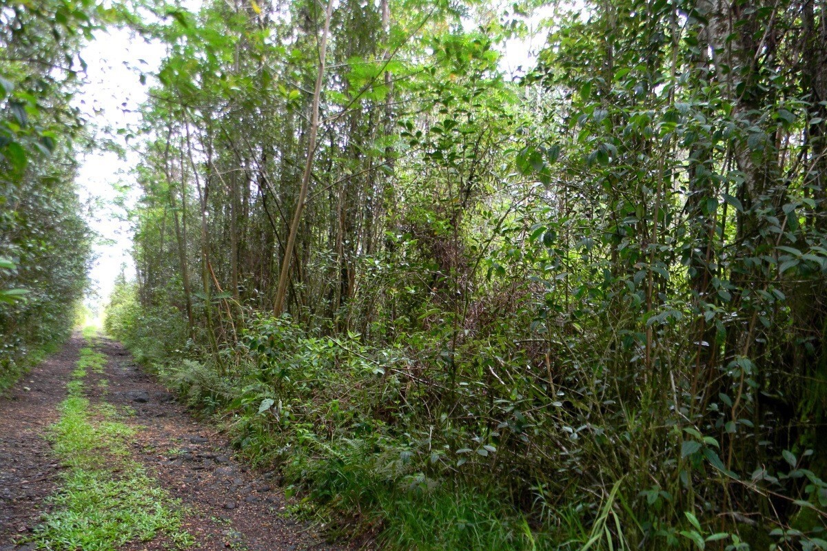 Property Photo:  Sandalwood Ct  HI 96760 