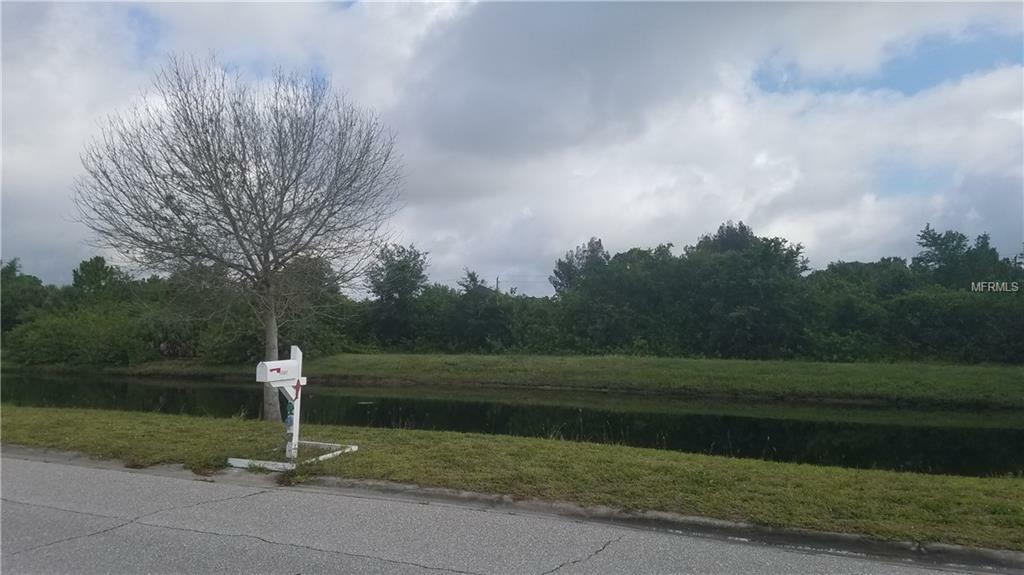 Property Photo:  13367 Darnell Avenue  FL 33981 