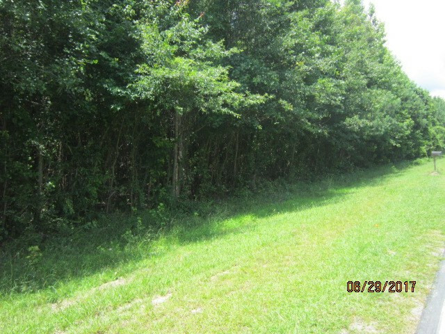 Property Photo:  00 Camak Road  GA 30828 