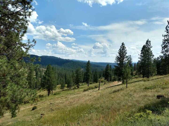 20315 N Holcomb Rd  Mead WA 99021 photo