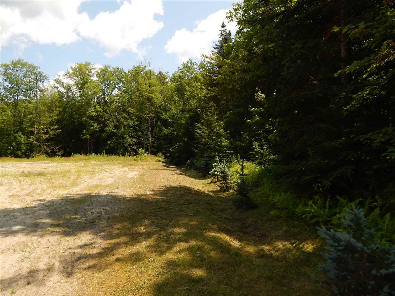 Property Photo:  Lot 2 Route 103A  NH 03255 