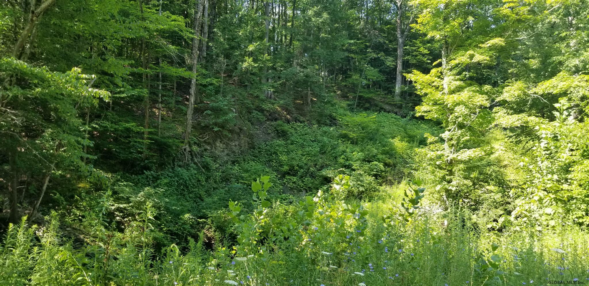 Property Photo:  277 Kelly Station Road  NY 12056 