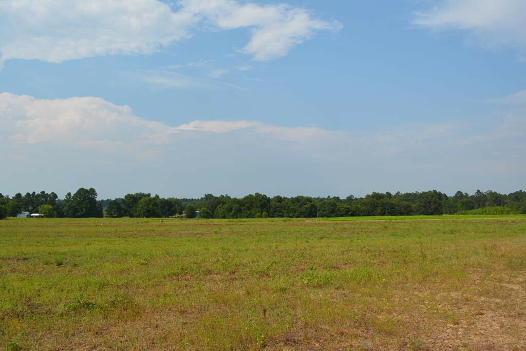 Property Photo:  0 Old Stapleton Road  GA 30823 