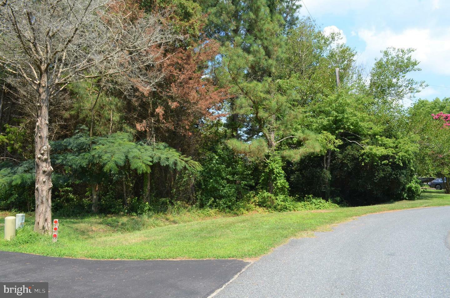 Property Photo:  Lot 24 Hidden Harbor Rollie Road East Road  MD 21813 