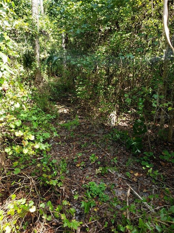 Property Photo: Jane Creek Drive FL 32732