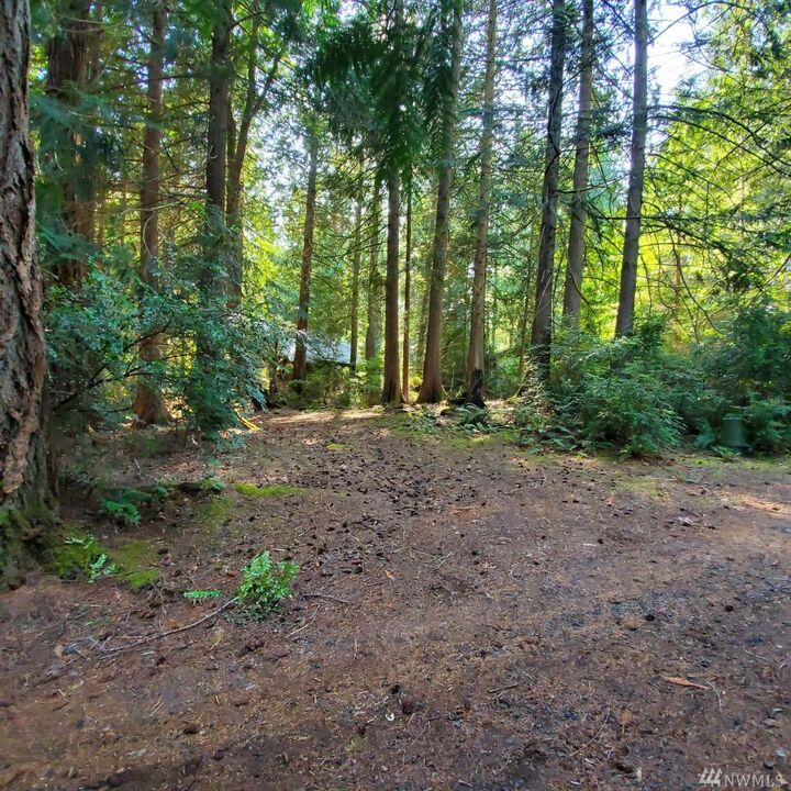 Property Photo:  383 E Pointes Dr E  WA 98584 