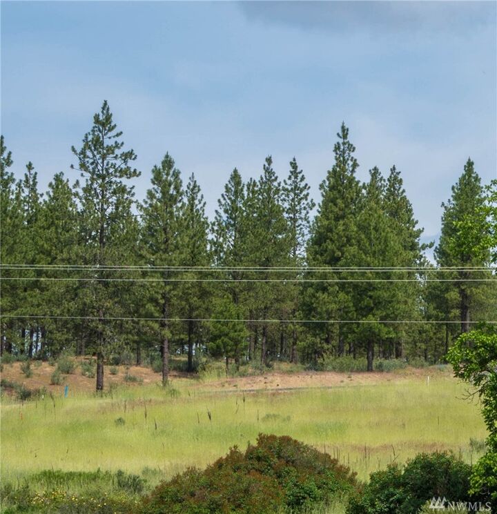 25656 Pine Cone Court E  Lincoln WA 99147 photo