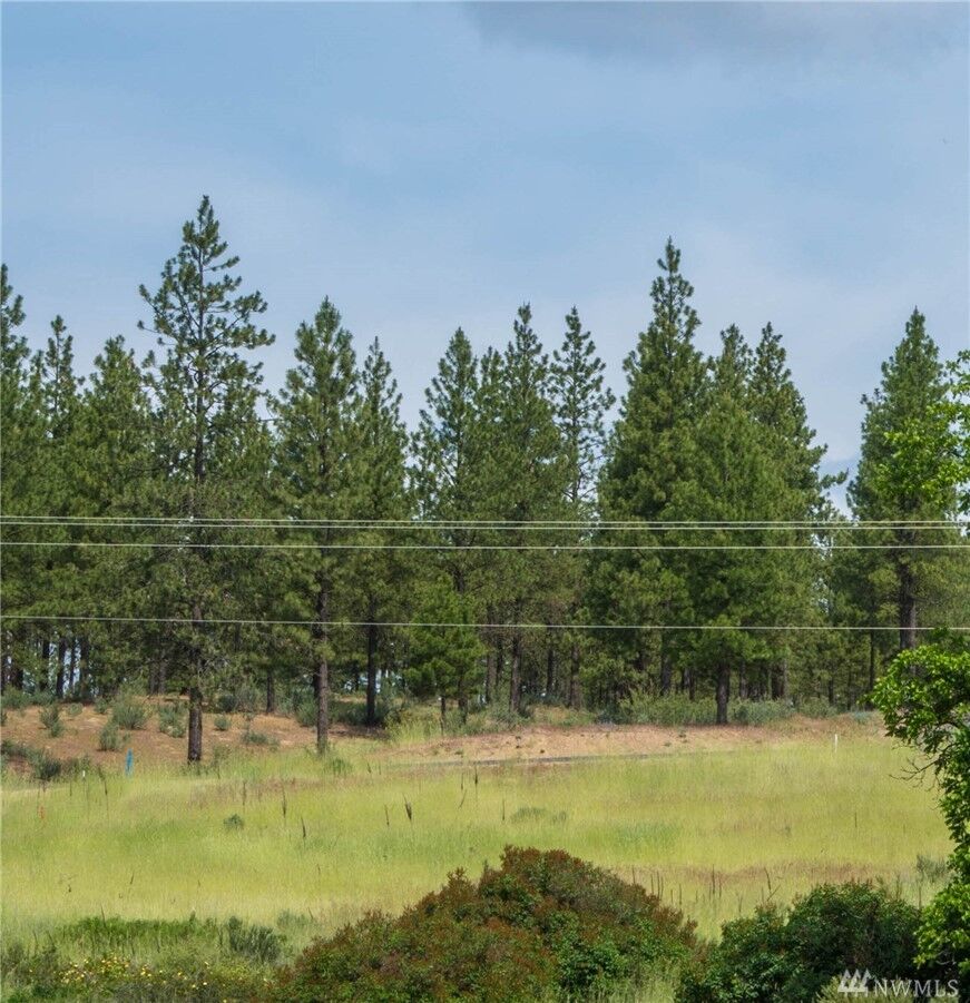 Property Photo: 25656 Pine Cone Court E WA 99147