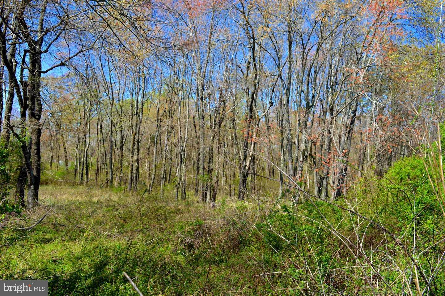 Property Photo: Constitution Ave. VA 22923