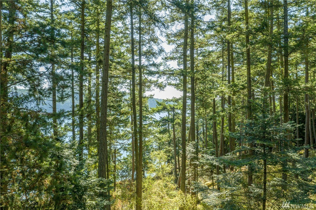 Property Photo: 0 Anchorage Rd WA 98261