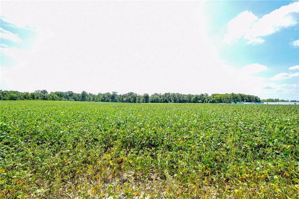 Property Photo:  10536 State Route 47  OH 45365 