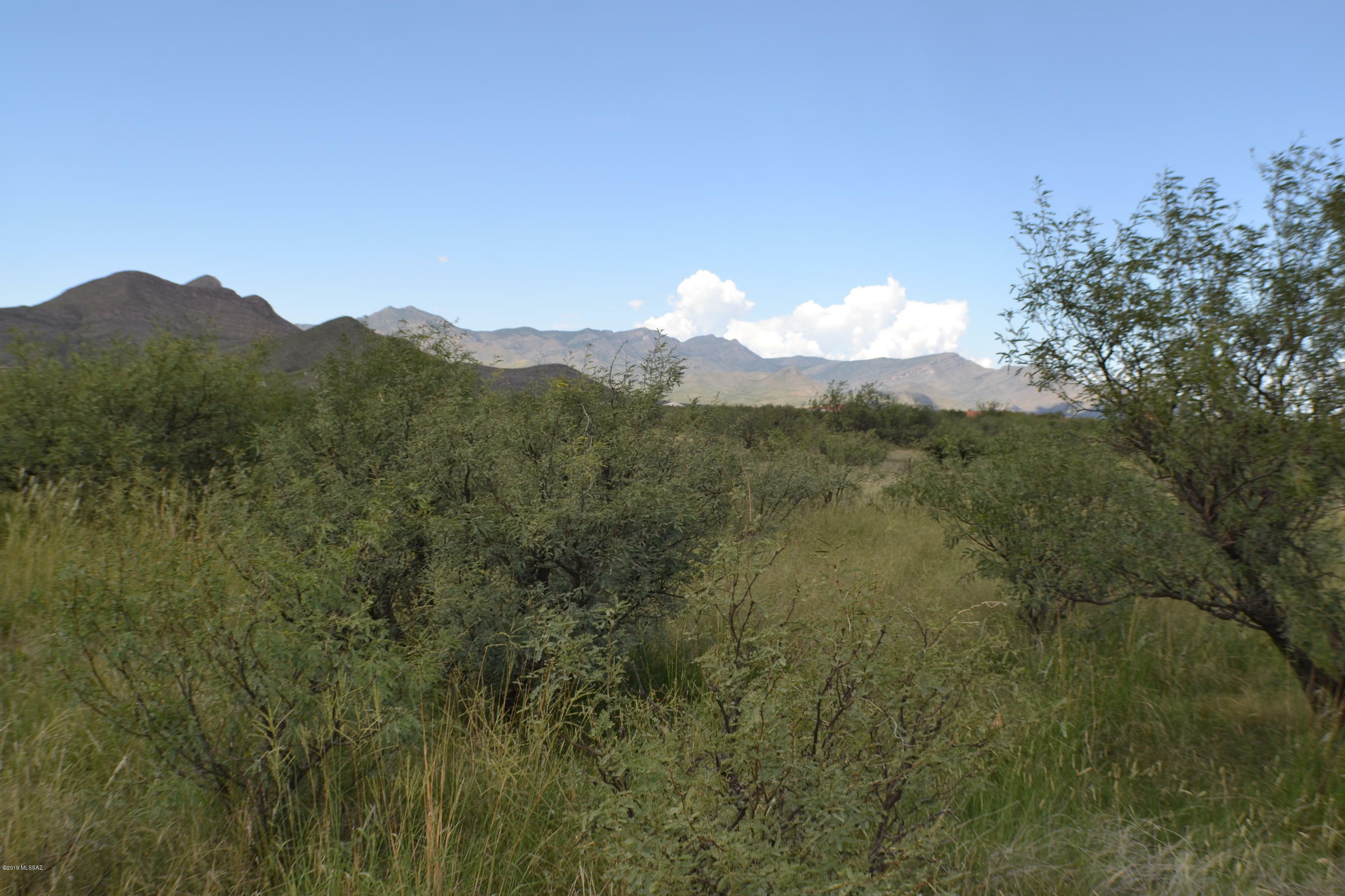 Property Photo:  Tbd W El Rancho Boulevard 16  AZ 85616 