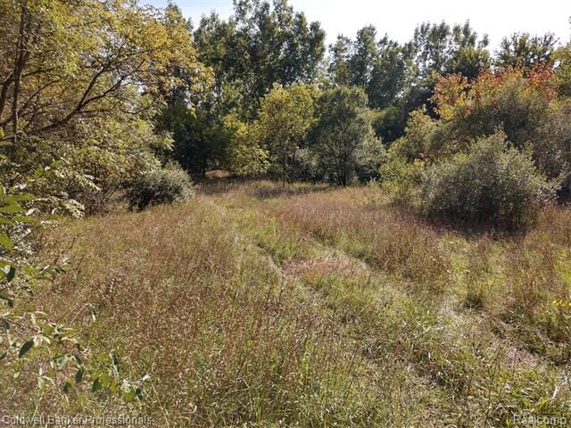 Vl E Mt. Morris Road  Genesee Twp MI 48458 photo