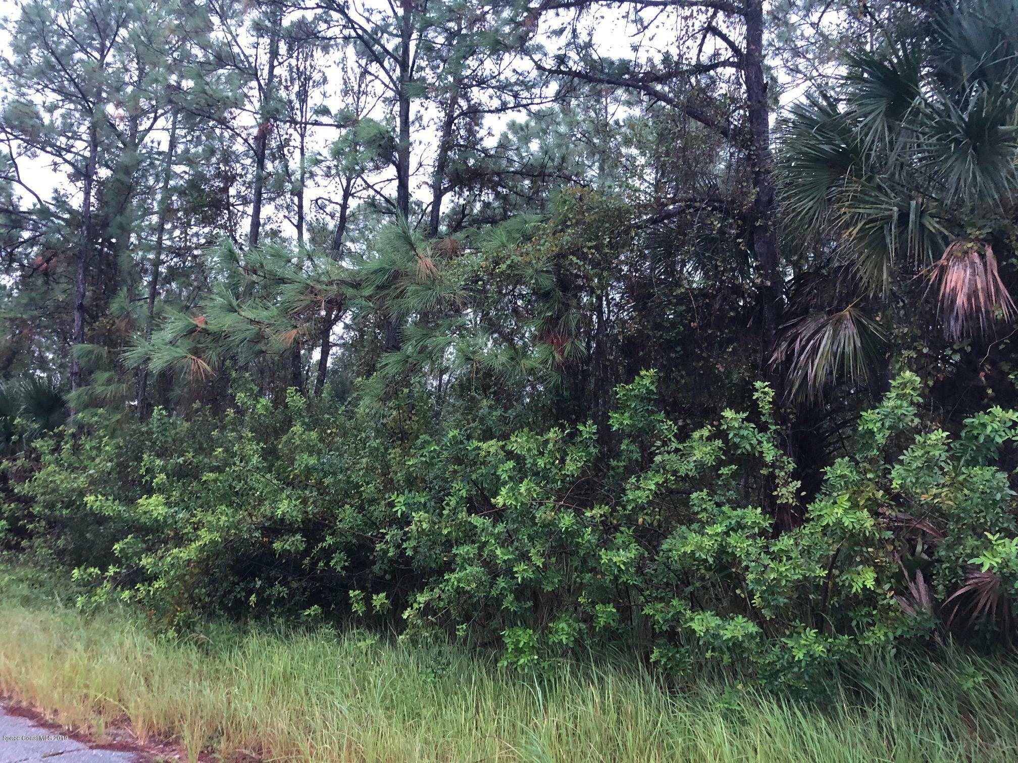 Property Photo:  3280 Reef Road SE  FL 32909 