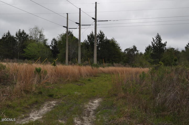 Property Photo:  0 Interior Land, Bayou La Croix  MS 39520 