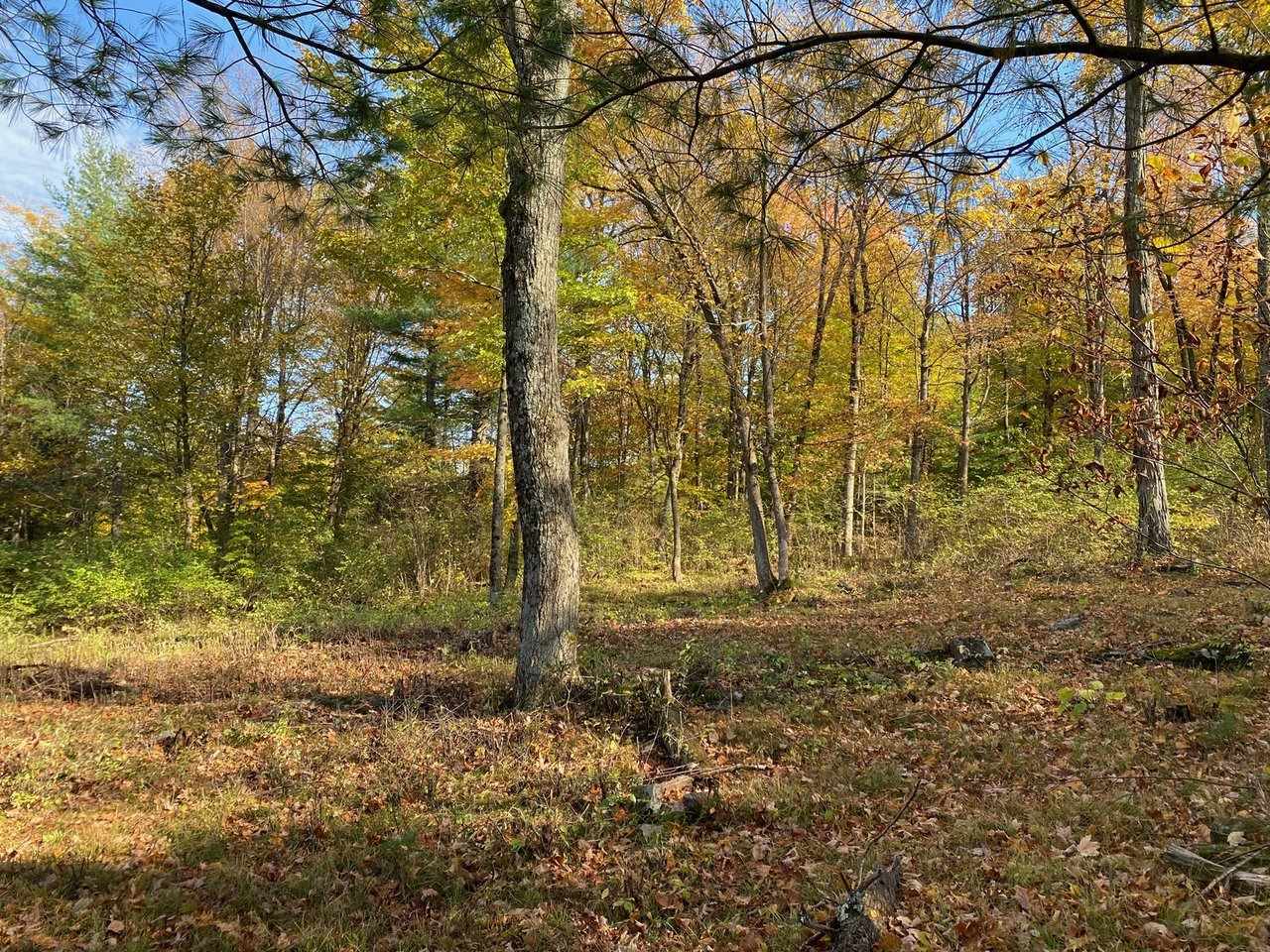 Property Photo:  650 Elfin Lane  VT 05445 