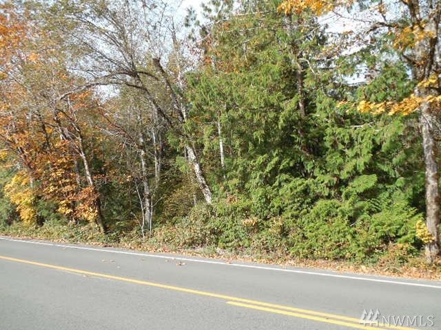 Property Photo: 0 SE Arcadia Rd SE WA 98584