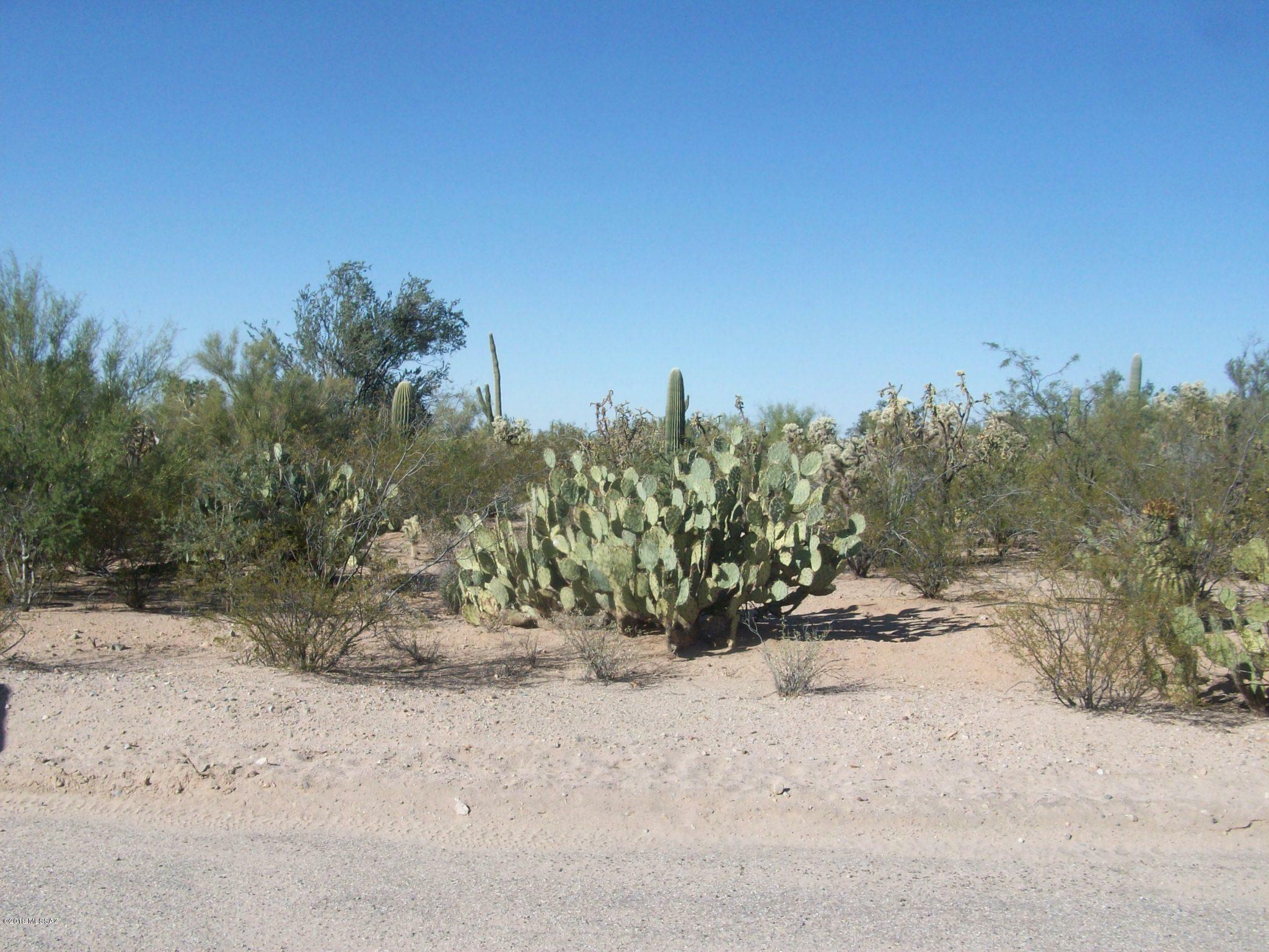 Property Photo:  12410 W Ranchettes Drive 12  AZ 85743 