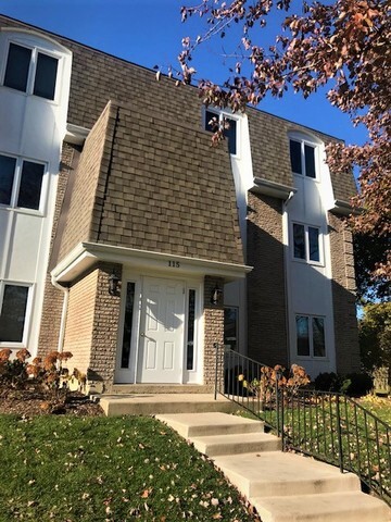 Property Photo: 115 East Winchester Road C IL 60048