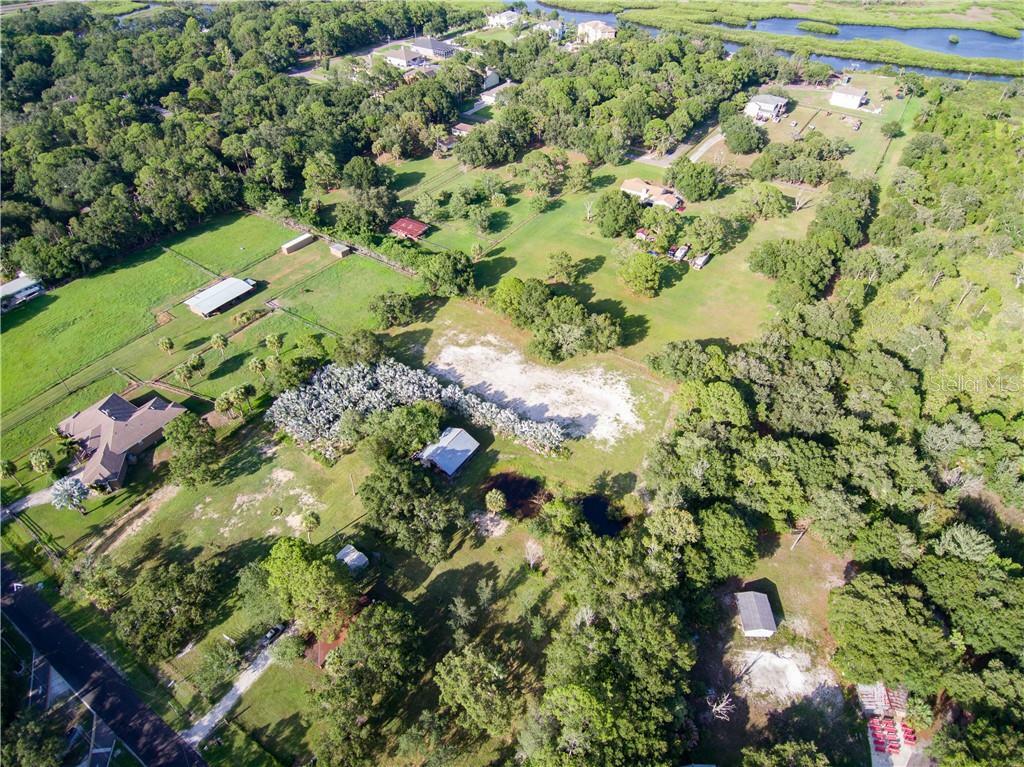 Property Photo:  8123 Double Branch Road  FL 33635 