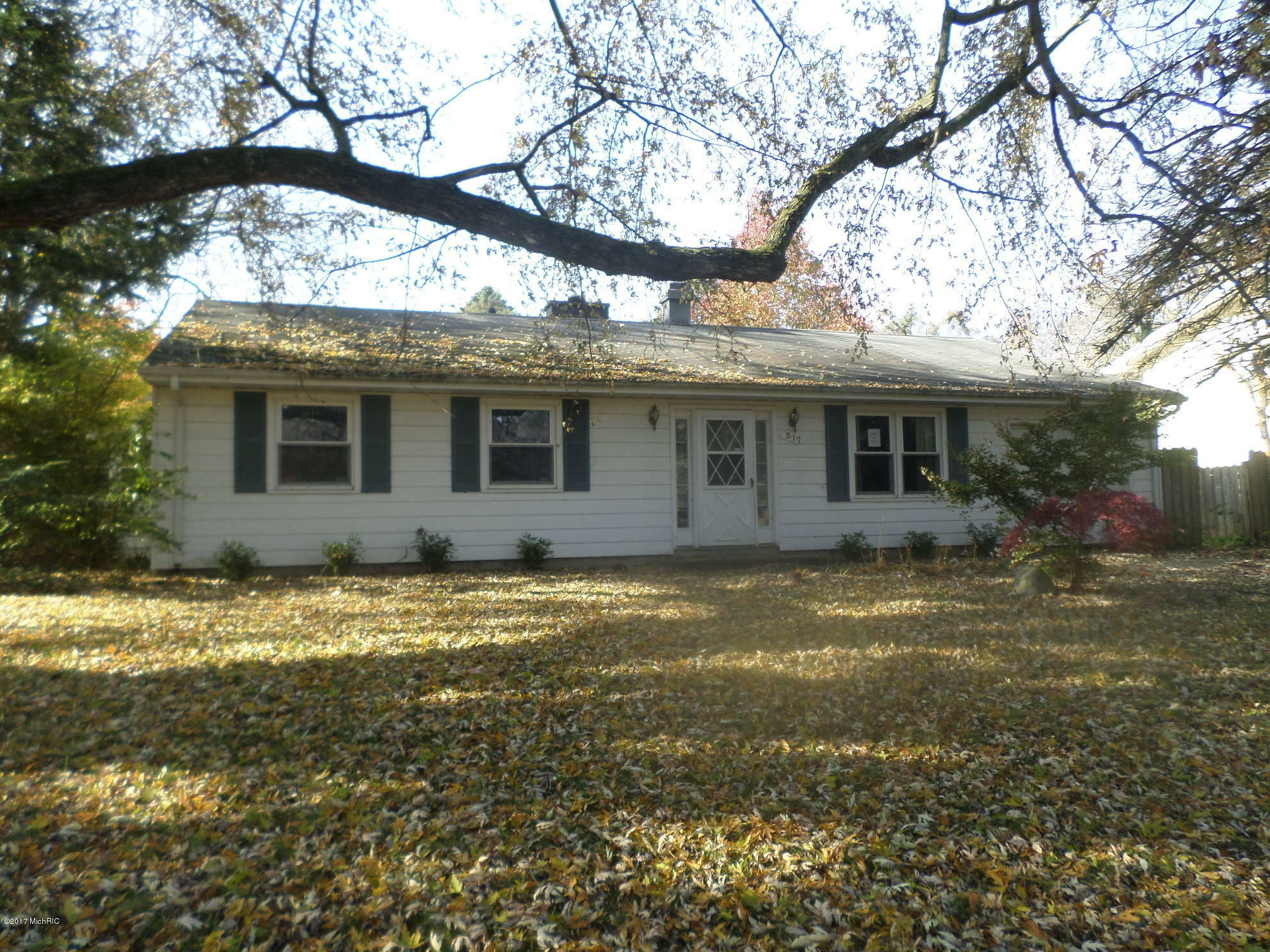 Property Photo:  317 Shamrock Drive  MI 49120 