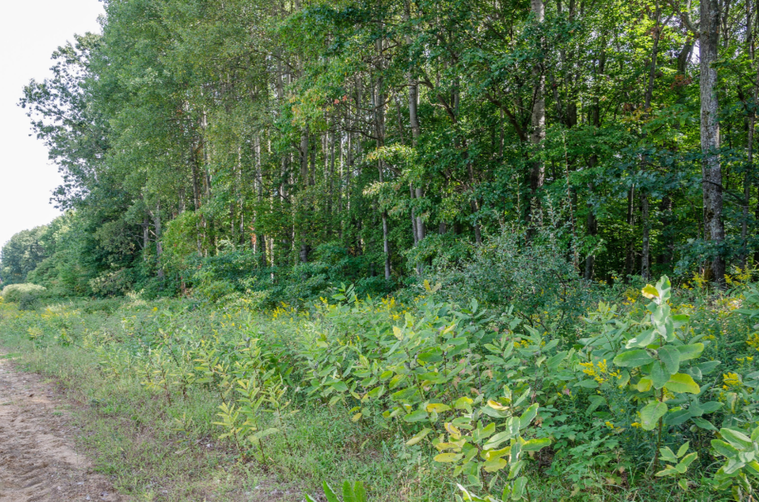 Property Photo:  0 160th Avenue  MI 49336 