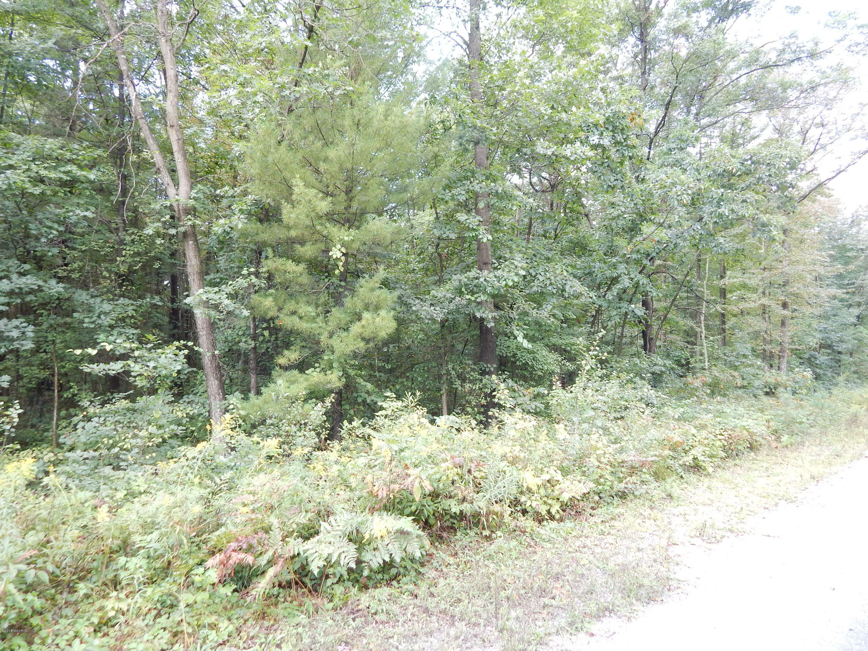 Property Photo:  Lot G Ruthie Lane  MI 49415 