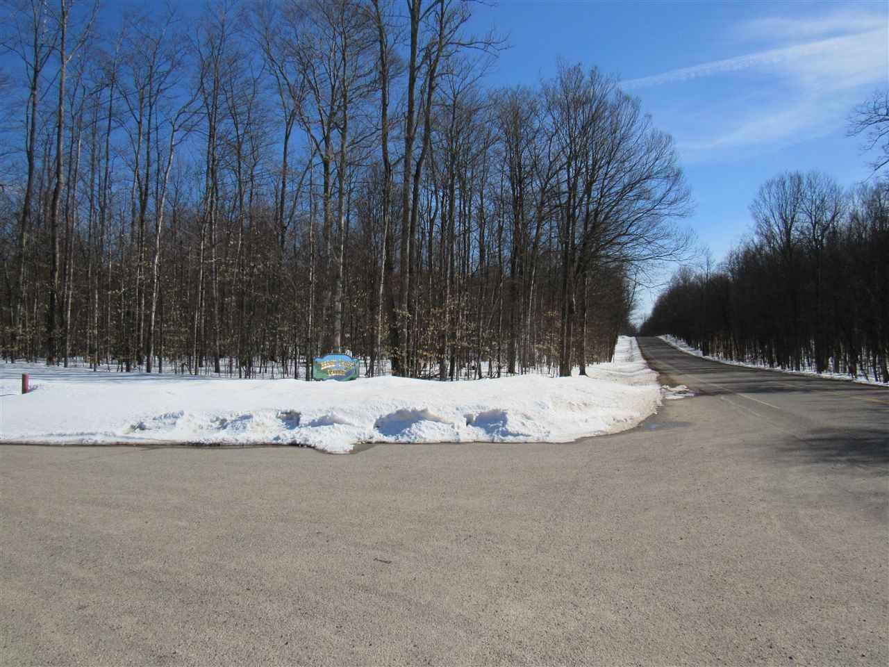 Property Photo:  11333 Berry Creek Valley Rd, #31  MI 40770 