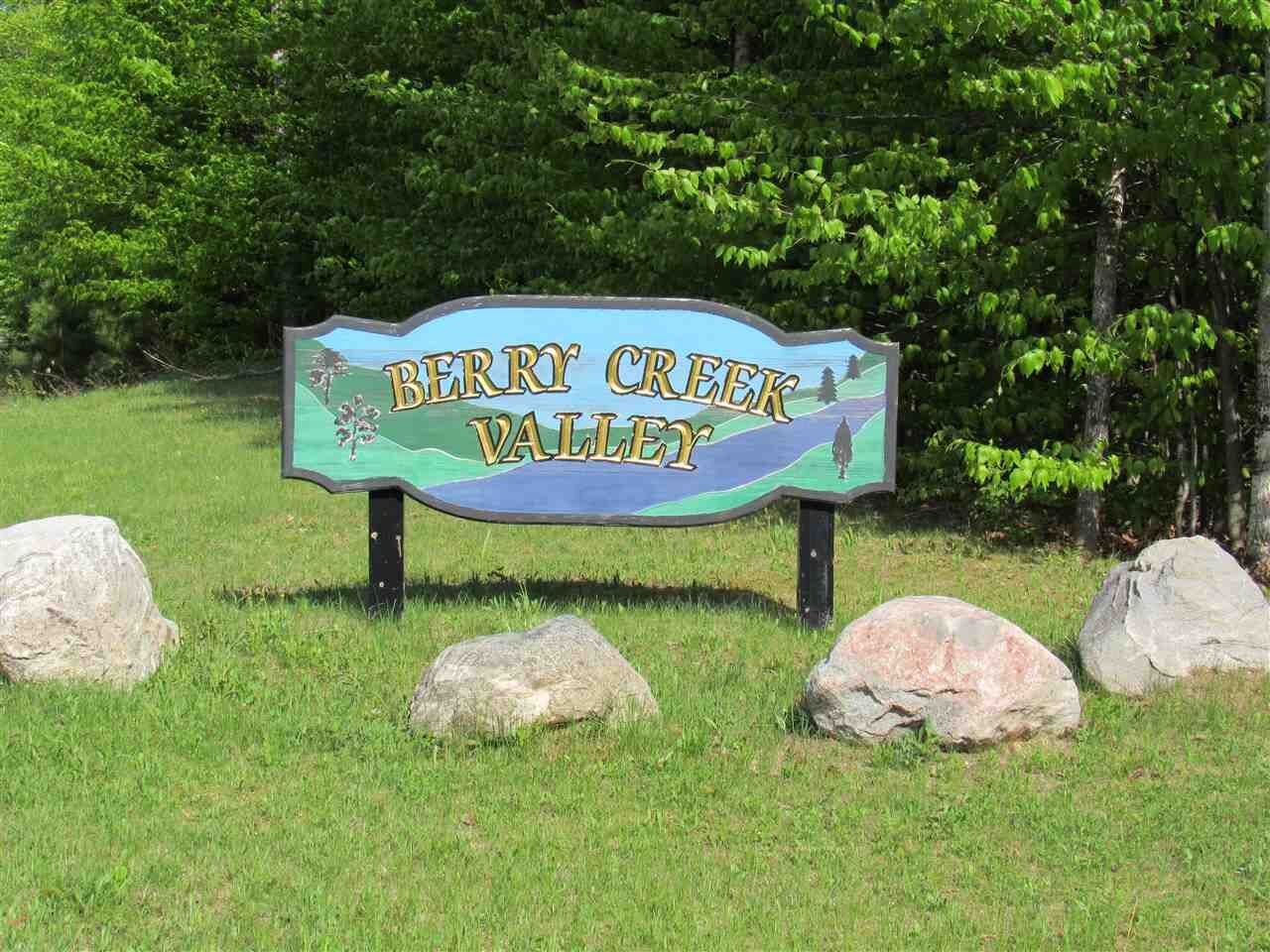Property Photo:  11597 Berry Creek Valley Rd, #24  MI 49740 