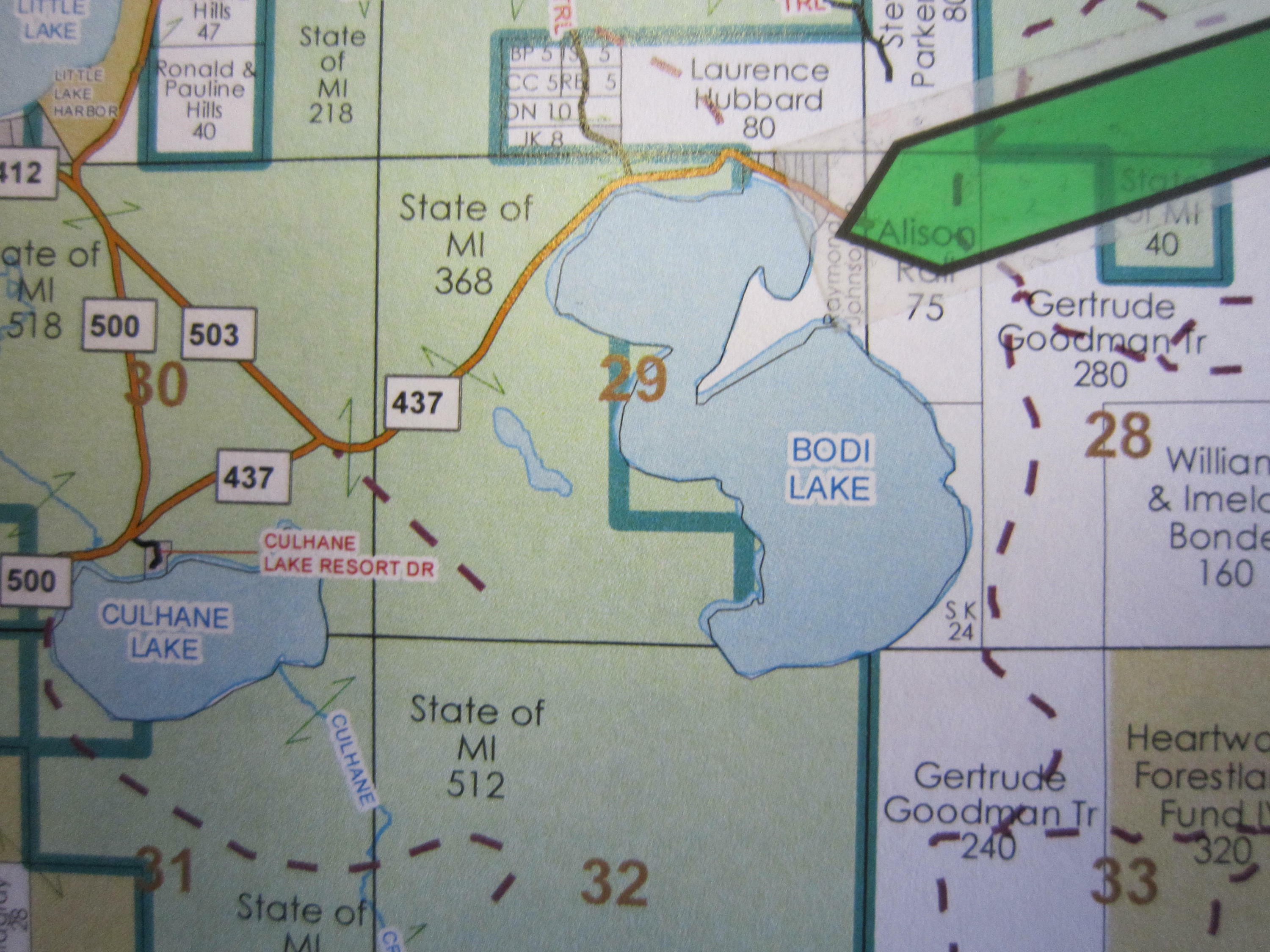 Lot D Bodi Lake  Newberry MI 49868 photo