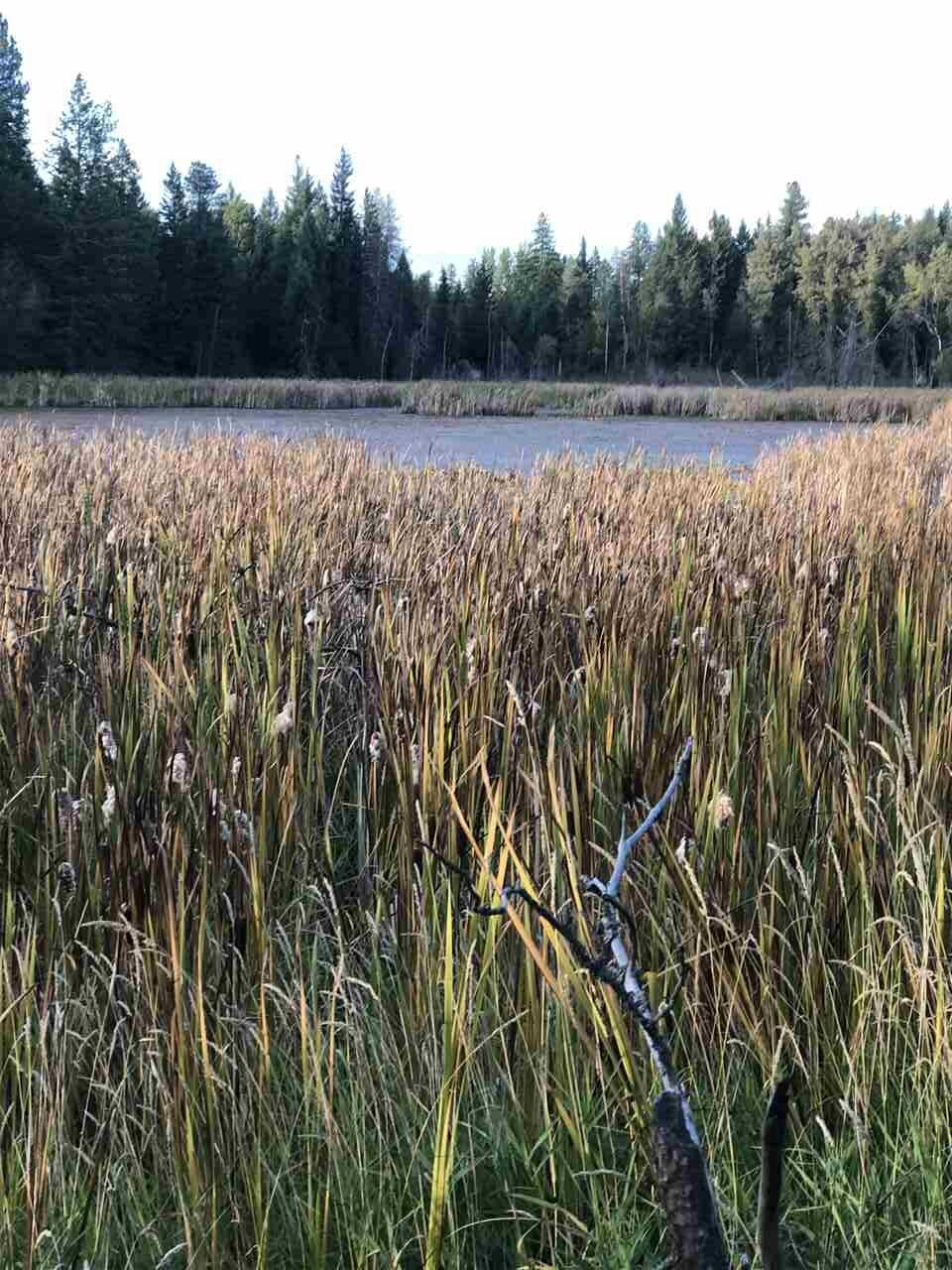 Property Photo:  Lot 5 Stanley Ct  WA 99156 