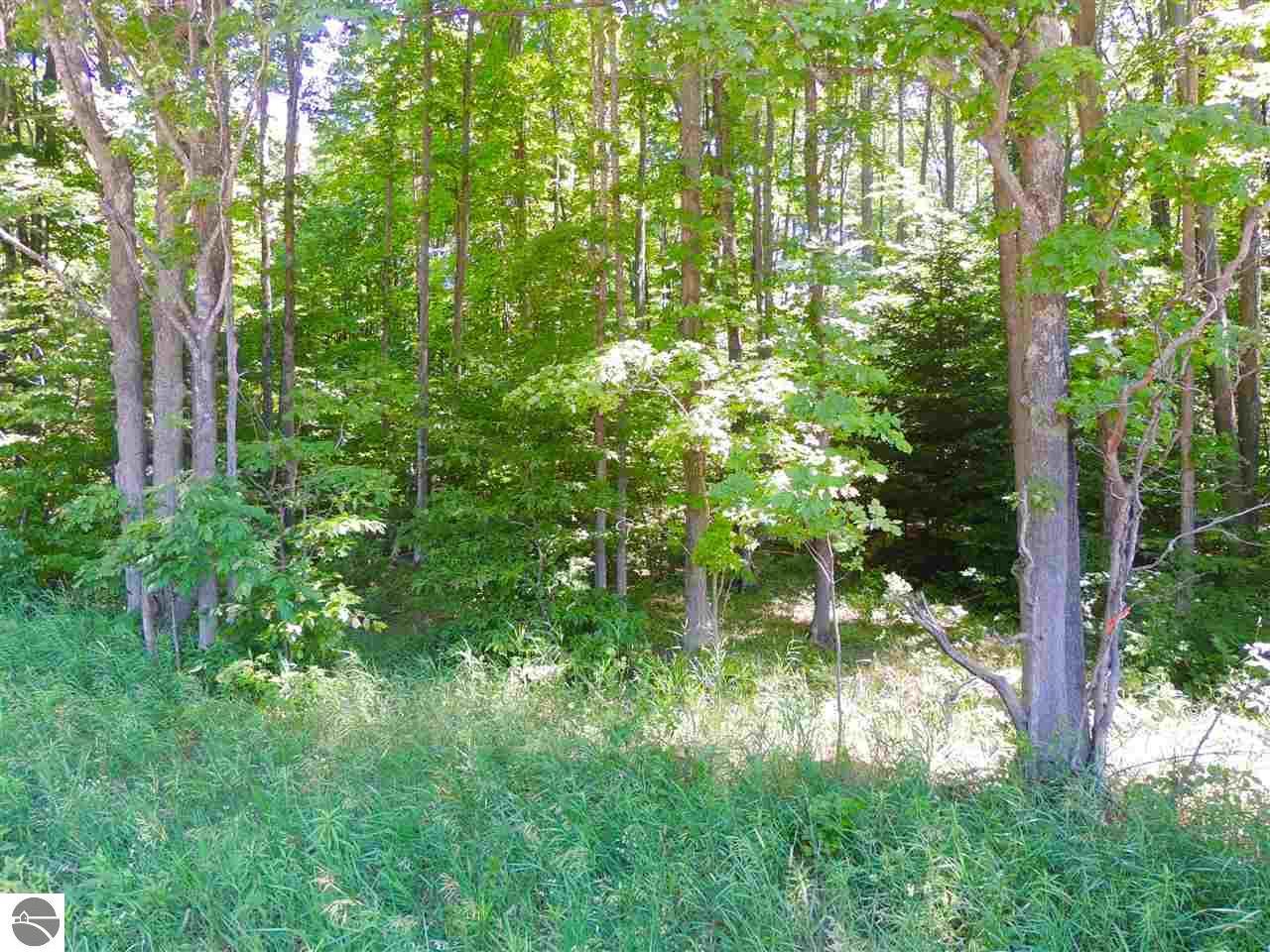 Property Photo: Lot 'E' Green Briar Road MI 49650