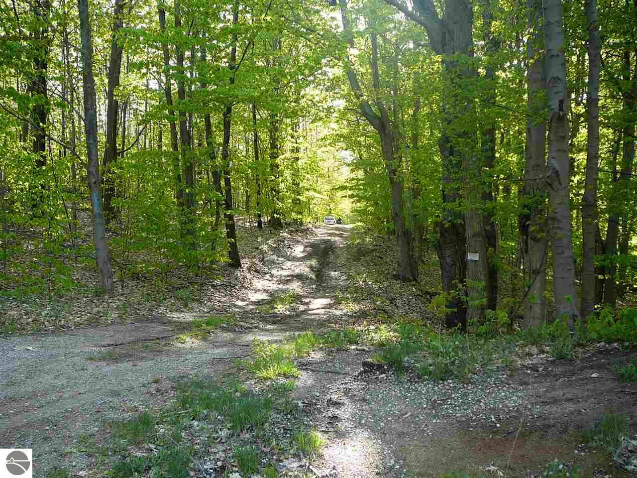 Property Photo:  00 Figg Road  MI 49635 