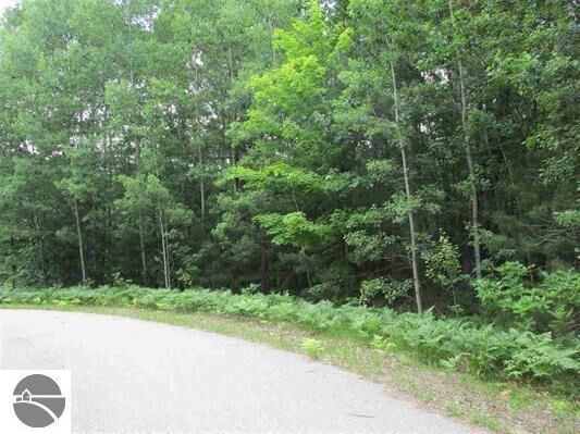 Property Photo: 0 Somerset Lane MI 49601