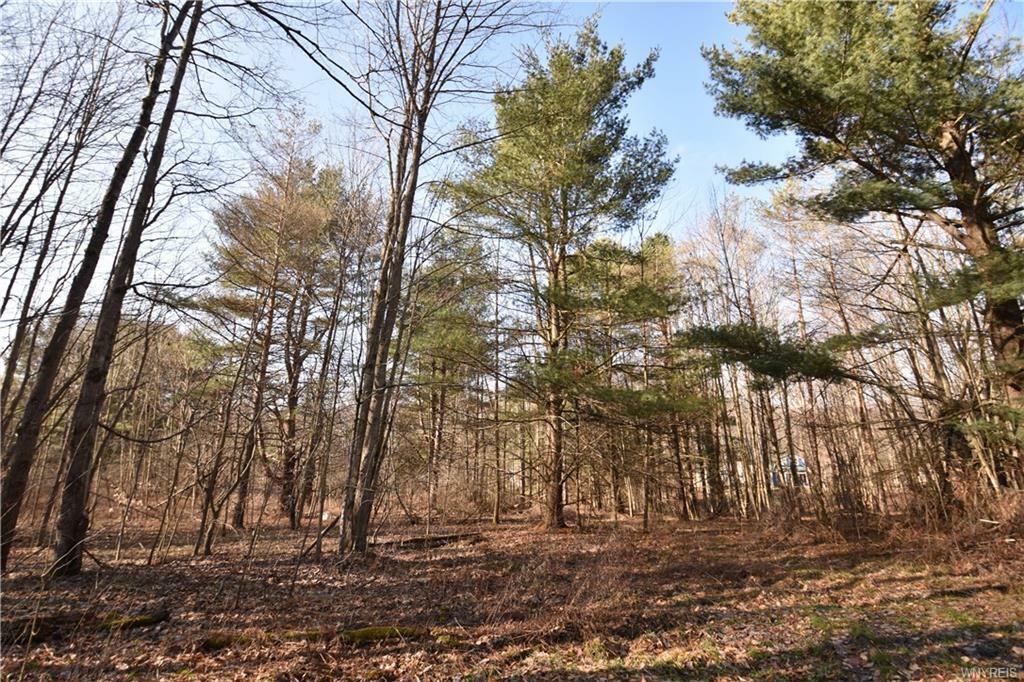 Property Photo: 0 County Road 49 NY 14777