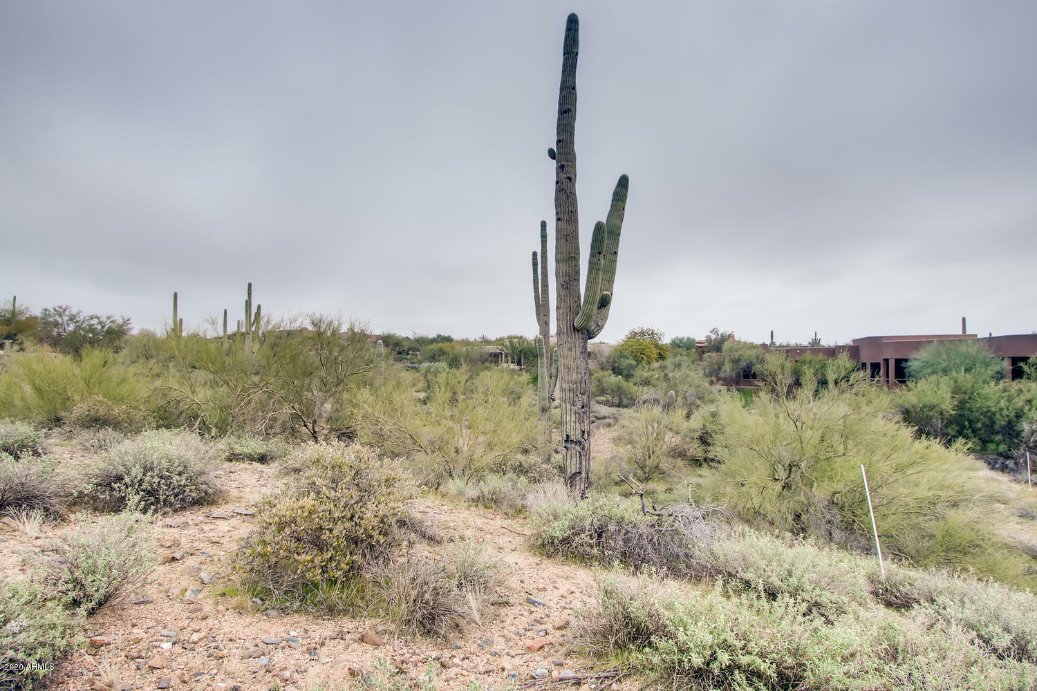 Property Photo:  38788 N Rising Sun Road  AZ 85377 